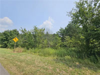 S1629157
